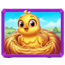 Chick in Nest