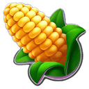 Corn