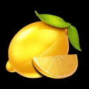 Lemon Slice