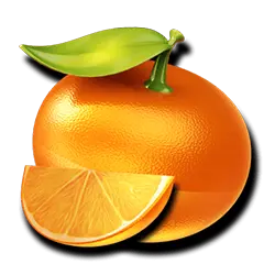 Orange Slice