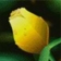 Autoplay