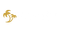 Palmsbet Casino