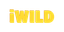 iWild Casino
