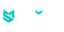 Spinoli