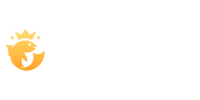 Joo Casino Erfahrungen 2025 » Test & Kundenmeinungen 