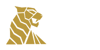 TigerSpin Bonus 2025 » 100€ Code + 50 Freispiele