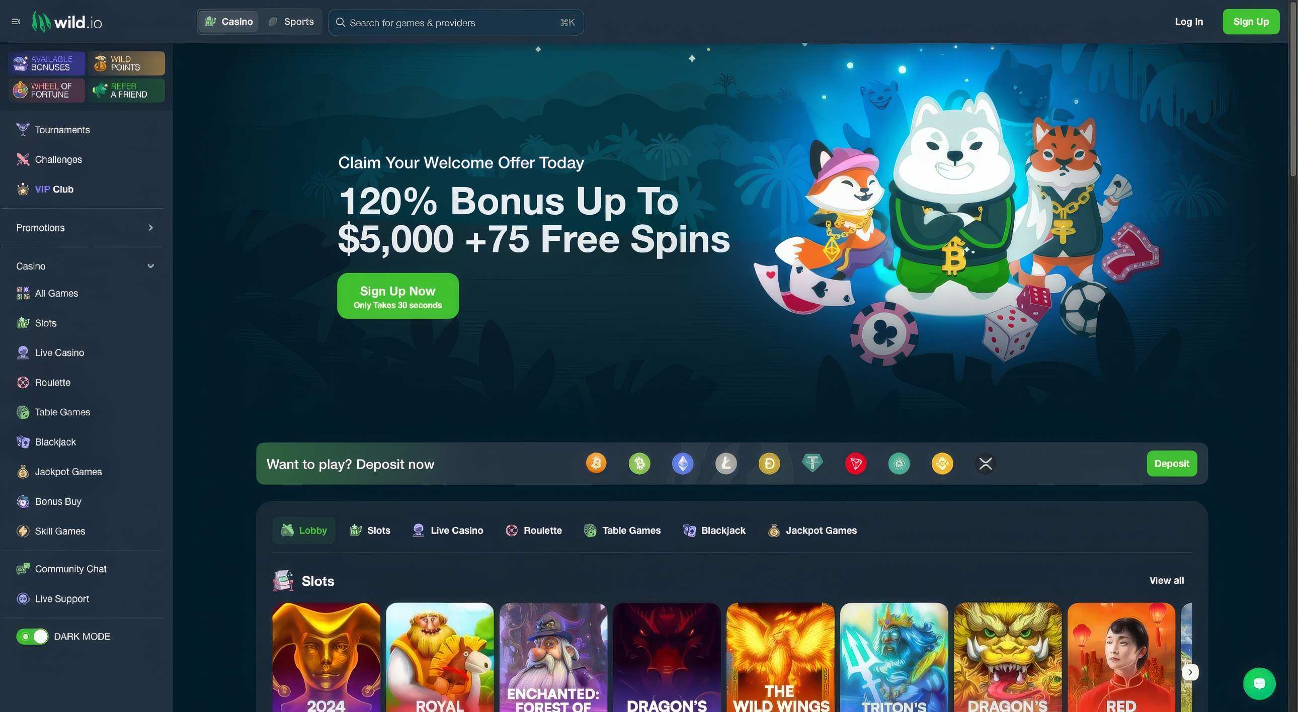 Wild.io Casino