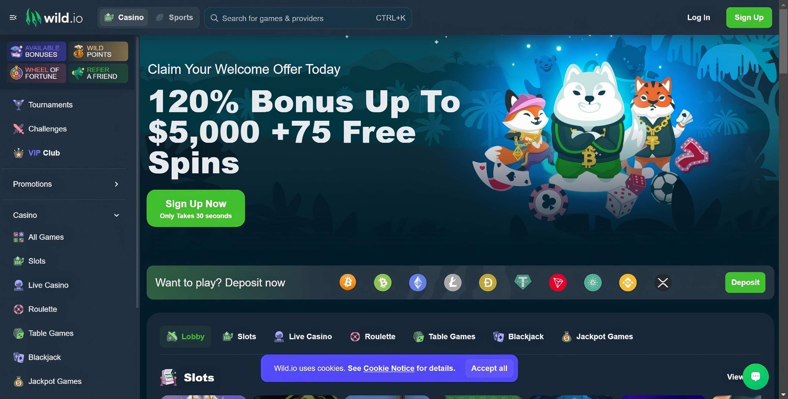 Wild.Io Casino desktop screenshot 1