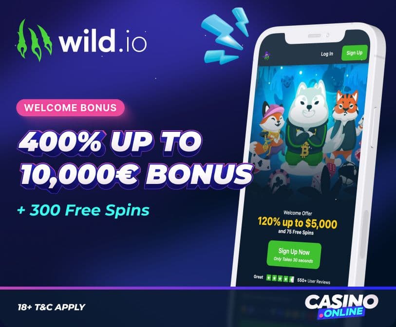 Wild.io casino welcome offer