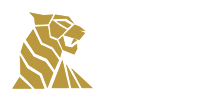TigerSpin
