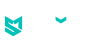 Spinoli Logo